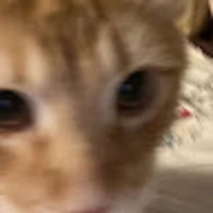 Meet your Posher, Gauri